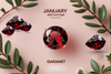 January Birthstone Garnet | Meaning and Jewelry Guide